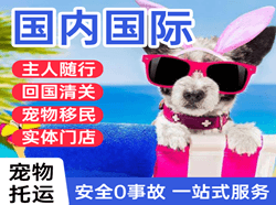 巴中恩阳航空邮寄国际宠物托运 【国